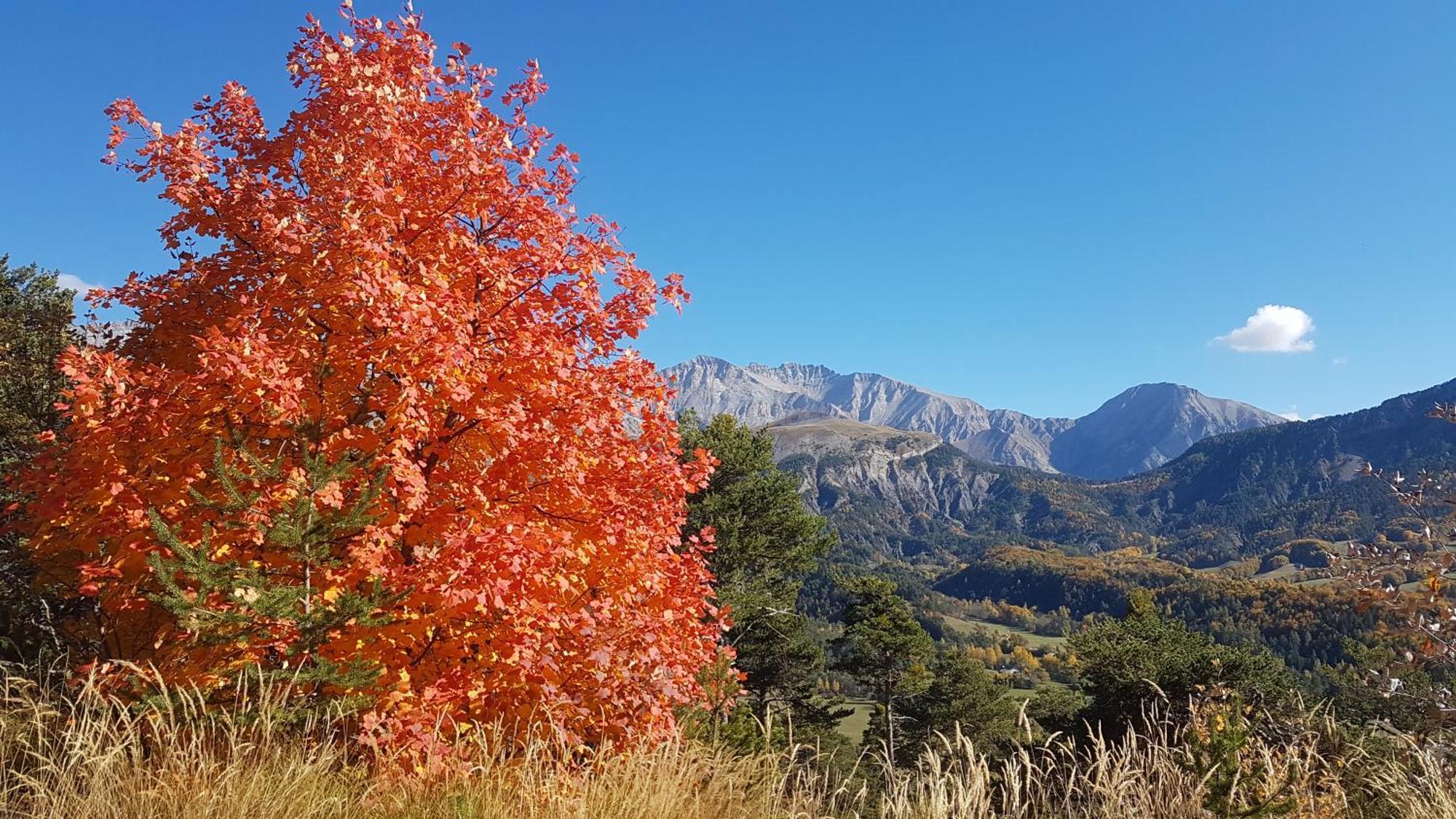 La Provence Vous Attend***!!! - 1Er Etage Digne-les-Bains Extérieur photo